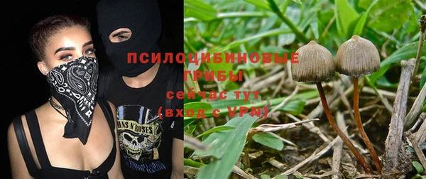 тгк Касимов