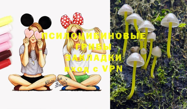 мяу мяу мука Иннополис