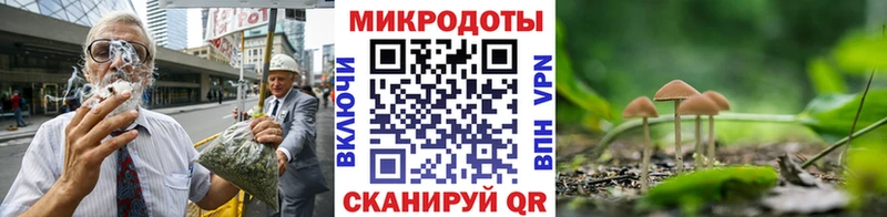 Купить закладки  Когалым  Галлюциногенные грибы прущие грибы 